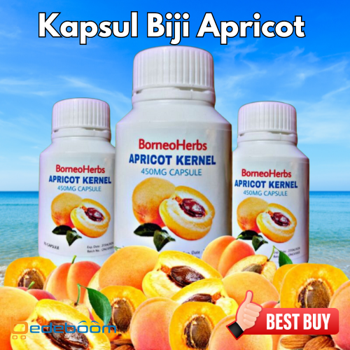 Kapsul Biji Aprikot Asli Original