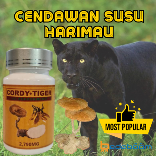 Kapsul Cendawan Susu Harimau