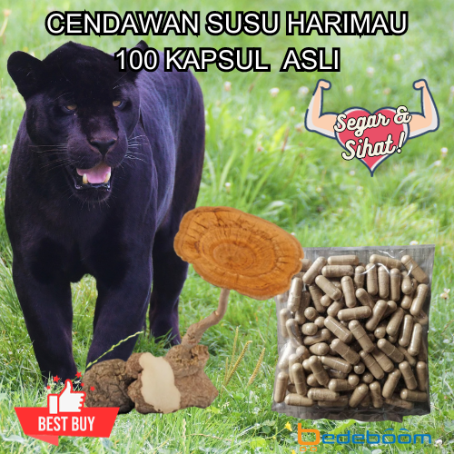 Cendawan Susu Harimau 100 Kapsul Asli